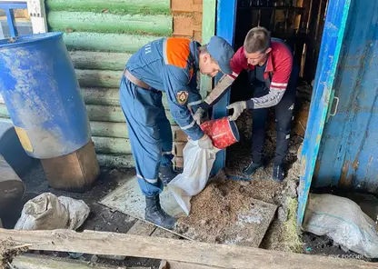 Паводок уходит из Омской области: число подтопленных домов снизилось до 234