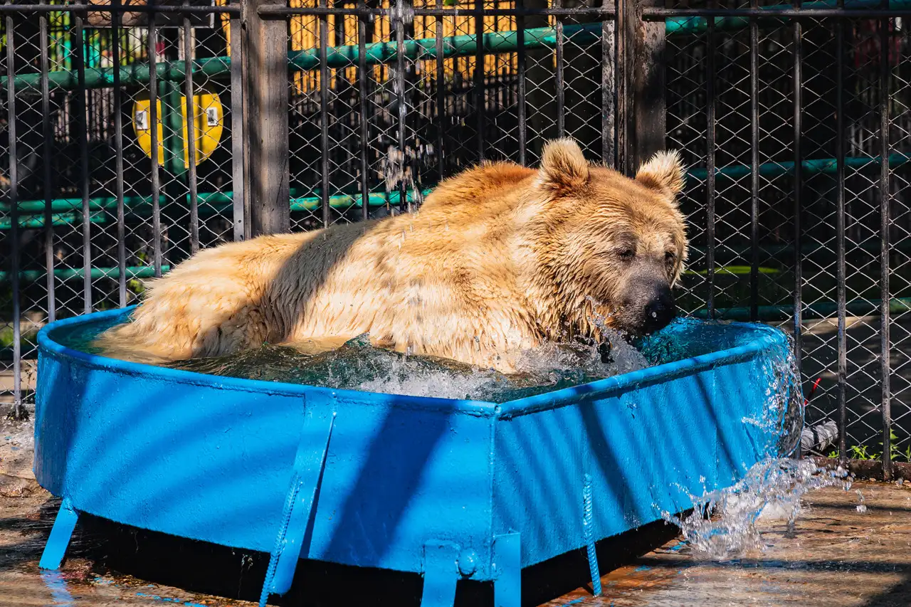 Фото: Олег Чипура