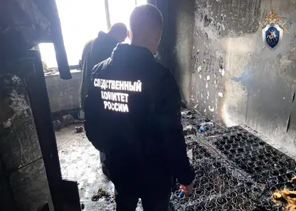 В Приморском крае двое маленьких детей погибли в пожаре