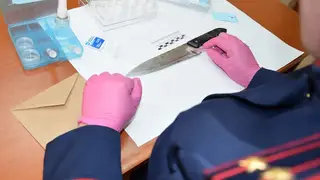 В Хабаровском крае женщина пыталась зарезать сожителя в новогодние праздники