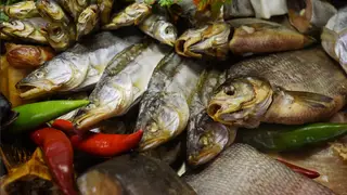 Томская область вошла в пятерку регионов России по заболеваемости описторхозом