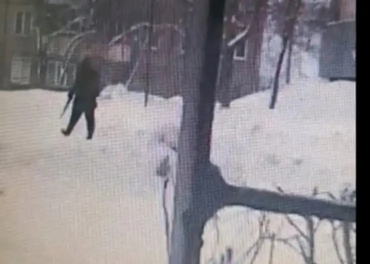 Неизвестного мужчину с ружьём заметили рядом со школой в Железногорске
