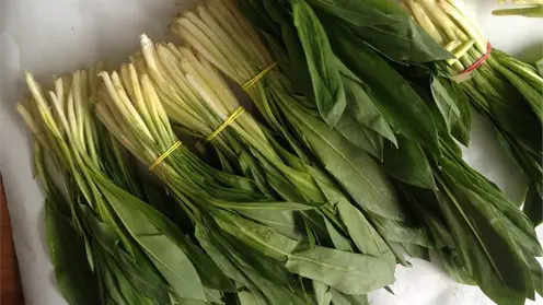 На улицах Красноярска начали продавать свежую черемшу