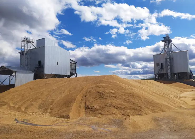 Аграрии Красноярского края собрали более 3 млн тонн зерна