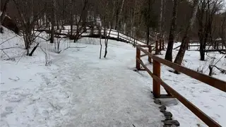 Администрация «Столбов» предупредила туристов о риске травм из-за гололедицы Администрация «Столбов» предупредила туристов о риске травм из-за гололедицы