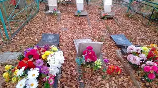 В Березовском районе вандалы осквернили кладбище: повреждены десятки могил В Березовском районе вандалы осквернили кладбище: повреждены десятки могил