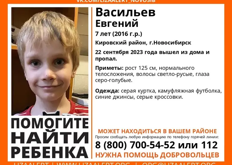 В Новосибирске бесследно исчез 7-летний мальчик