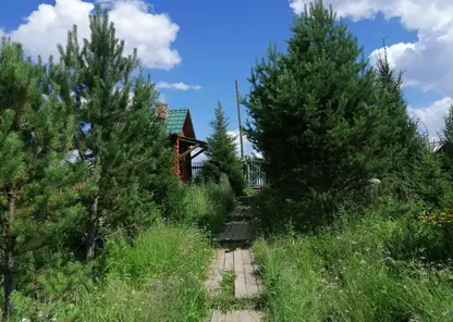 Более 100 тысяч детей отдохнули в летних лагерях Красноярского края в 2022 году