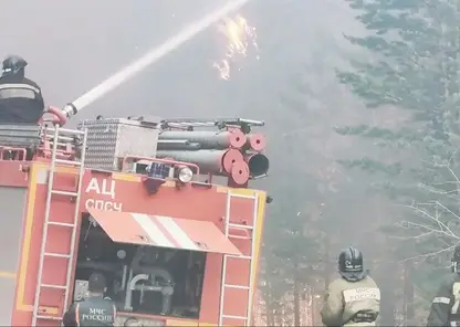 В Забайкалье подросток поджег траву и устроил огромный лесной пожар