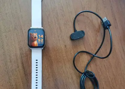 Красноярка получила условный срок за мошенническую схему с возвратами товаров с маркетплейса