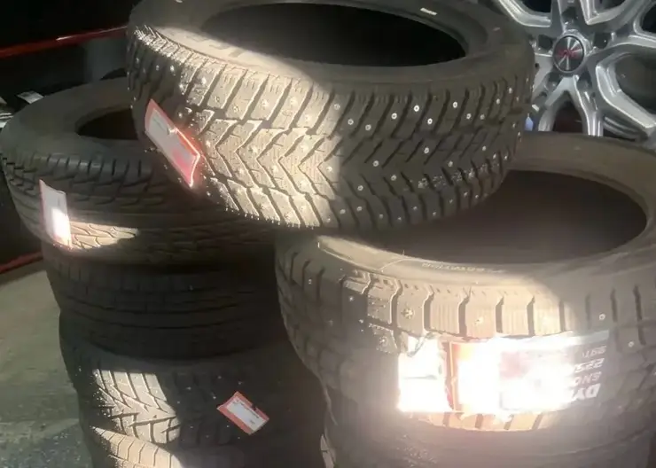 В Красноярском крае предприниматель заплатит штраф и лишится 11 шин на 75 тысяч рублей