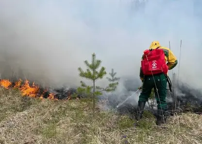 Лучшие лесопожарные подразделения Красноярского края получат 50 тысяч рублей на развитие