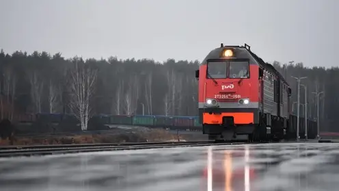 Двое человек погибли под колёсами грузовых поездов в Кемеровской области