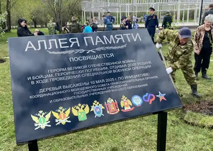 На берегу озеро-парка «Октябрьский» появилась Аллея Памяти — высажены десятки деревьев