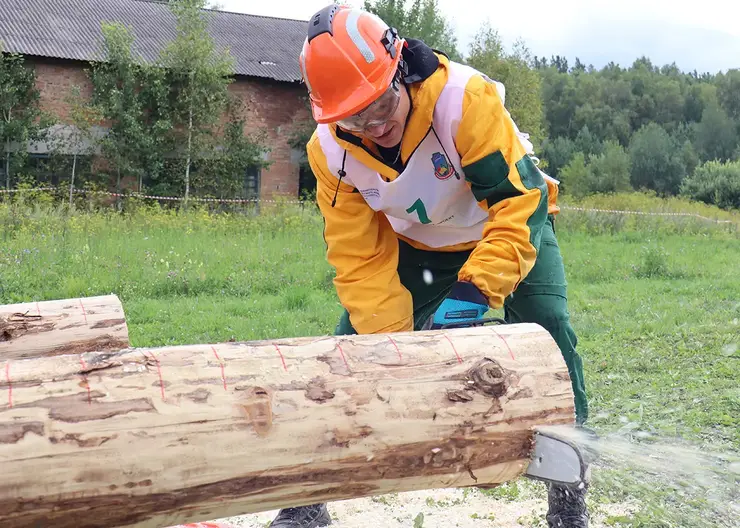 В Красноярском крае пройдет региональный этап конкурса на лучшего лесного пожарного