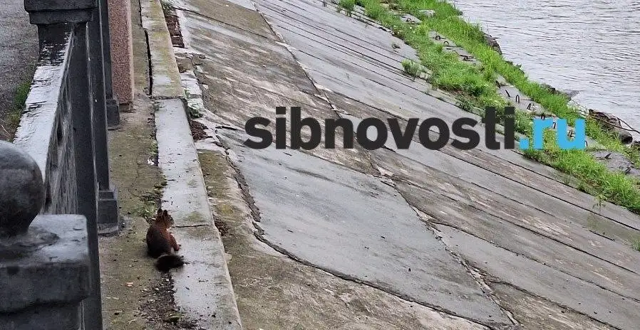 Фото: sibnovosti.ru