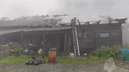 12 пожаров потушили в Красноярском крае за сутки