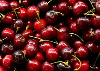 Врач предупредил о негативных последствиях переедания черешни