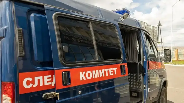 Тела двух пропавших 12-летних девочек найдены на берегу Енисея в разных деревнях Республики Тыва
