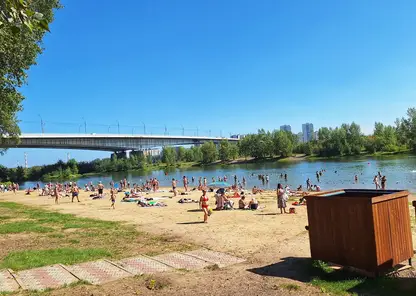 В Красноярске благоустроят острова Татышев и Бобровый за 1,9 млрд рублей