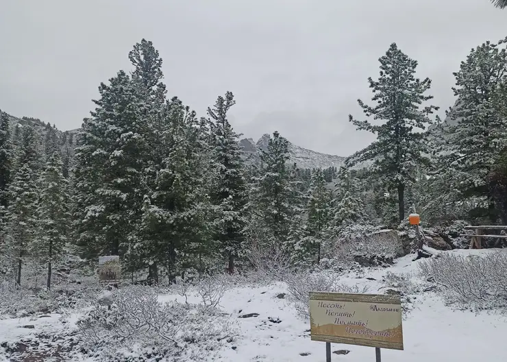 В парке «Ергаки» выпал снег