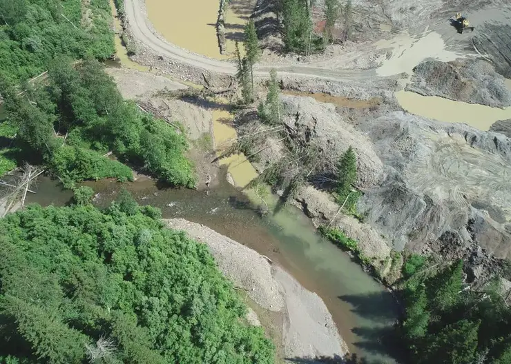 Золотодобытчиков из Красноярского края оштрафовали за загрязнение реки Большой Тюхтет