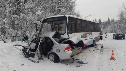 Полиция возбудила уголовное дело по факту ДТП с четырьмя погибшими в Курагинском районе