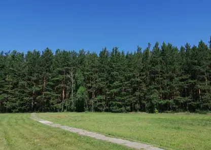 Двух пропавших грибников продолжают искать спасатели в Красноярском крае 