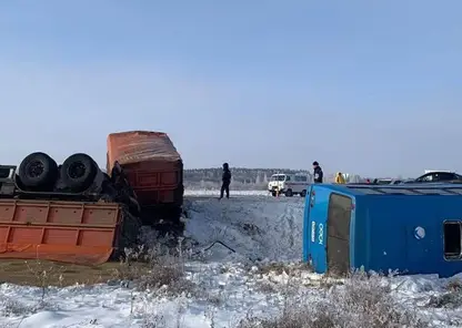 Автобус столкнулся с «КамАЗом»  в Омкой области: пострадали семь человек