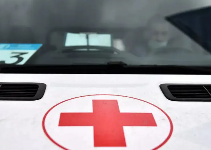 Более 2 тысяч жителей Красноярского края пострадали от укусов животных в 2022 году 