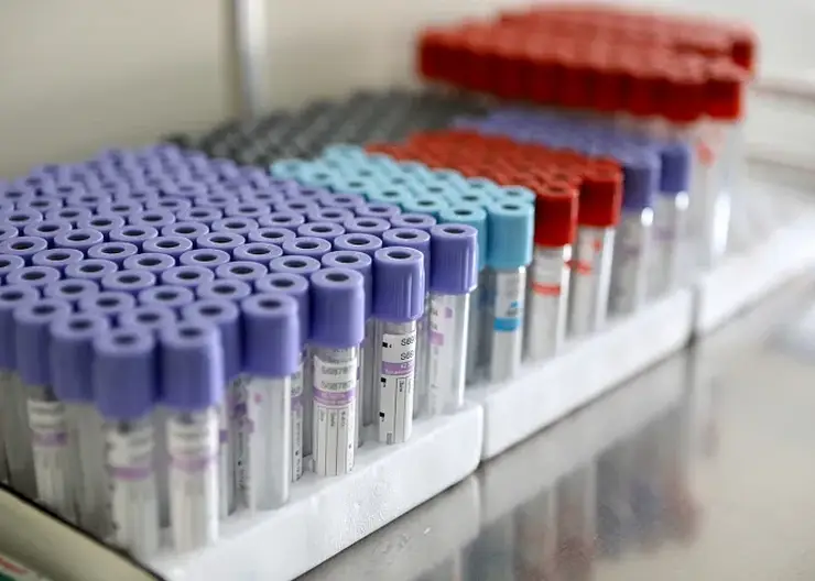 Приморские медики со следующего года впервые начнут проводить трансплантацию костного мозга