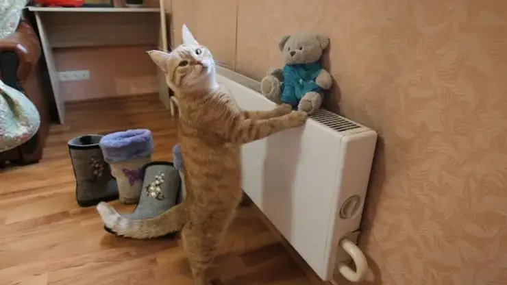 Отопительный сезон стартовал в Красноярске