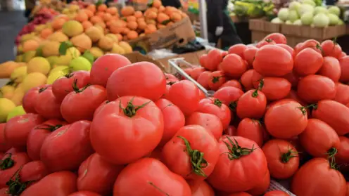 Туристов в Минусинск будут завлекать помидорами