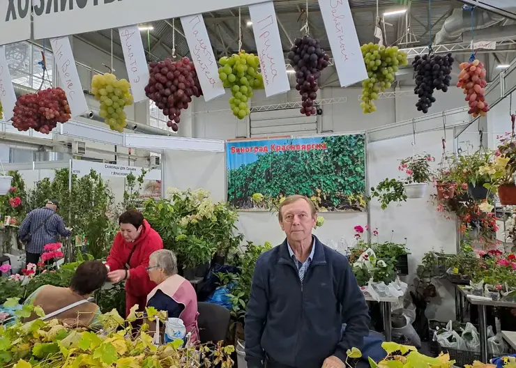 Выращенный в Сибири виноград могут попробовать красноярцы на осенней ярмарке