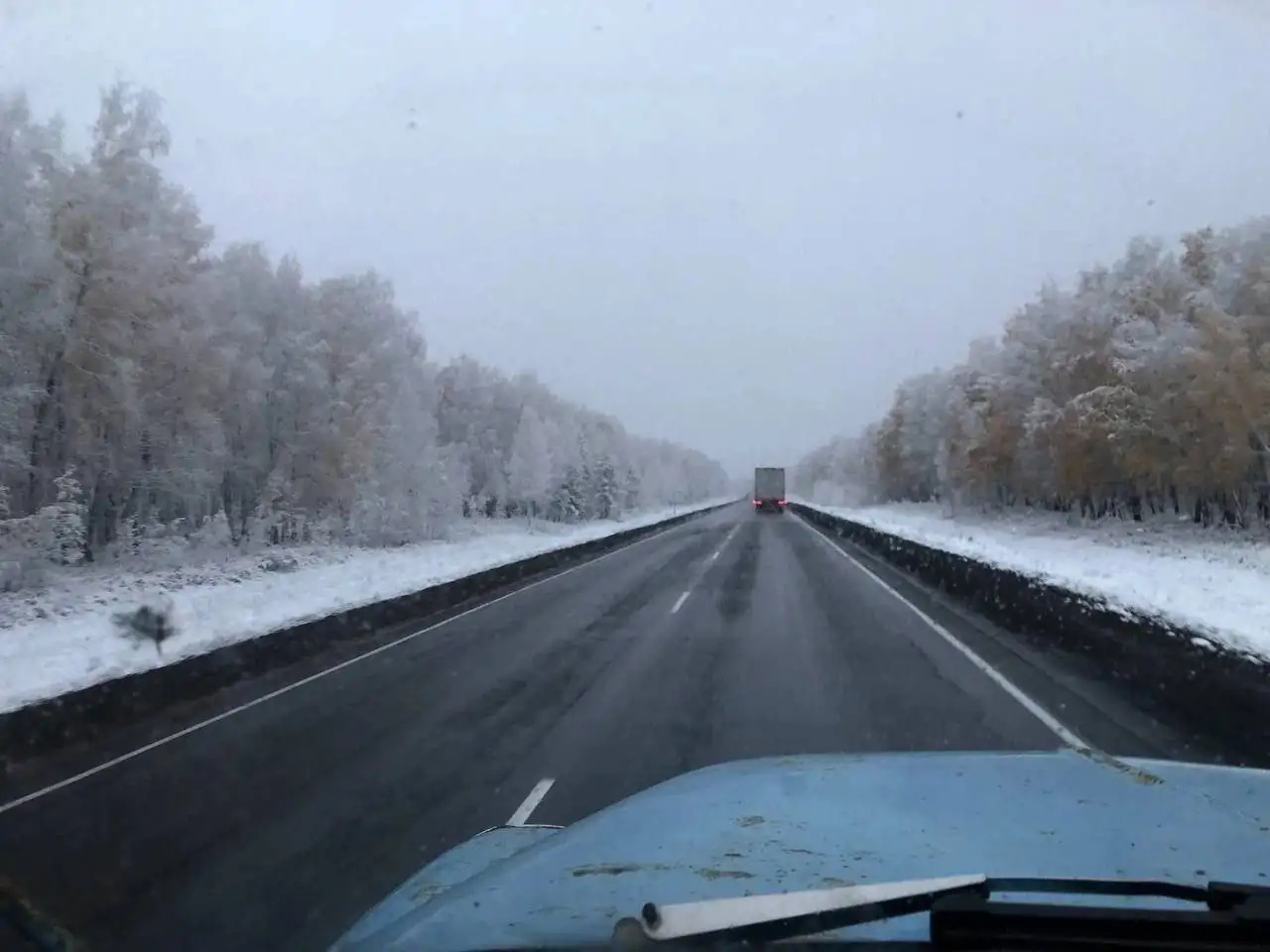 Фото: Telegram-канал «Красноярск. Бабр. Дальше некуда»