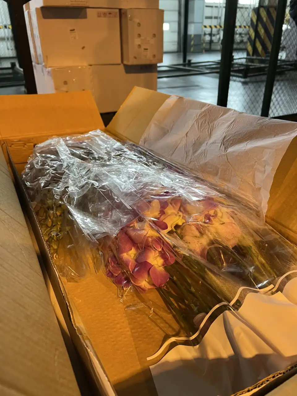 Фото: Россельхознадзор по Красноярскому краю