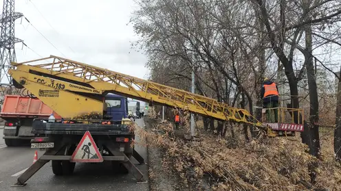 Плановая обрезка деревьев началась в Красноярске позже обычного
