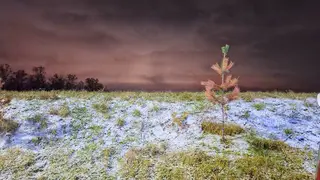 Жителям Красноярска пообещали капризный и теплый ноябрь