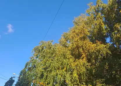 Бабье лето продолжается: до +19 прогнозируют в Красноярске 23 сентября