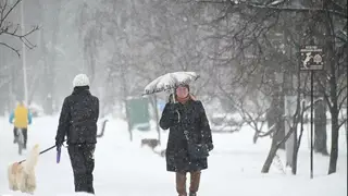 Красноярцев ждёт потепление до +6 градусов