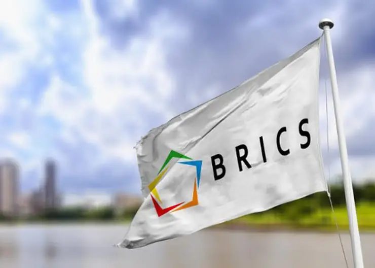 Страны БРИКС подтверждают приверженность решению проблемы изменения климата