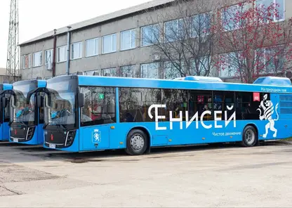 Экологичные и удобные автобусы для красноярцев вышли на маршруты при финансовой поддержке Сбера
