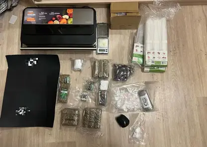 В Красноярске задержали владельца интернет-магазина наркотиков с партией на 6 млн рублей