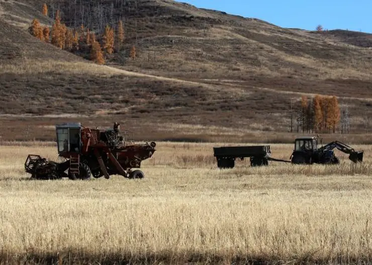 Аграрии Красноярского края получили более 180 миллионов рублей