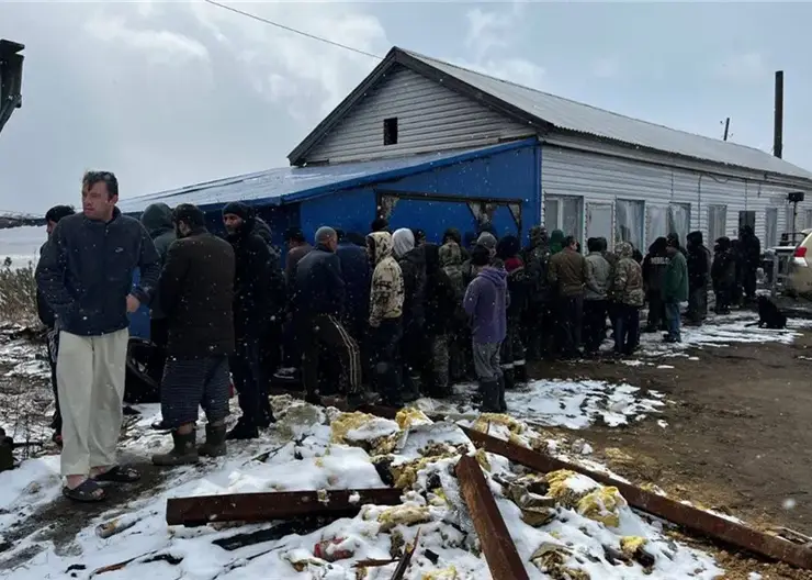 Нелегалов обнаружили на лесоперерабатывающем предприятии в Енисейском районе Красноярского края