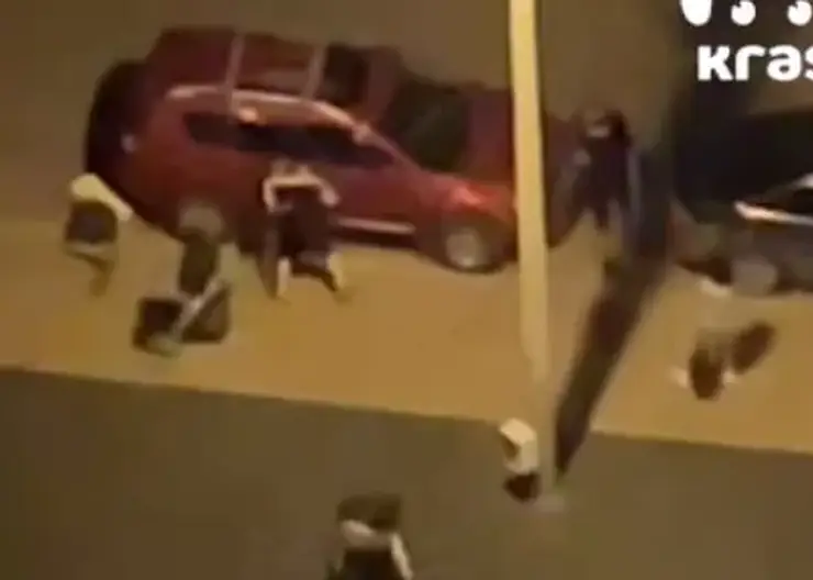 Красноярцы жестко избили металлическими палками мужчин за замечание о криках и матах ночью