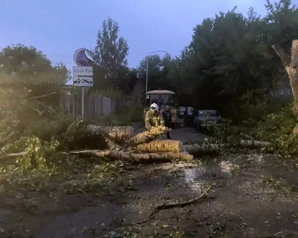 Фото: пресс-служба администрации Барнаула