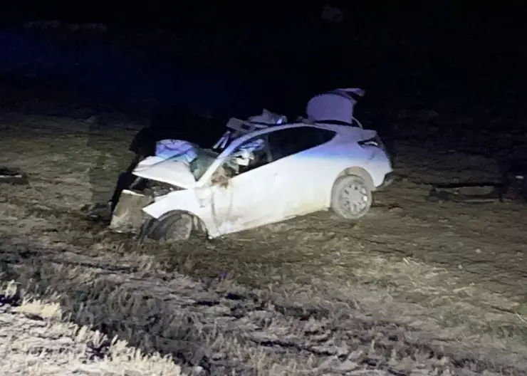 Под Новосибирском водитель иномарки врезался в грузовик и улетел в кювет. Мужчина погиб