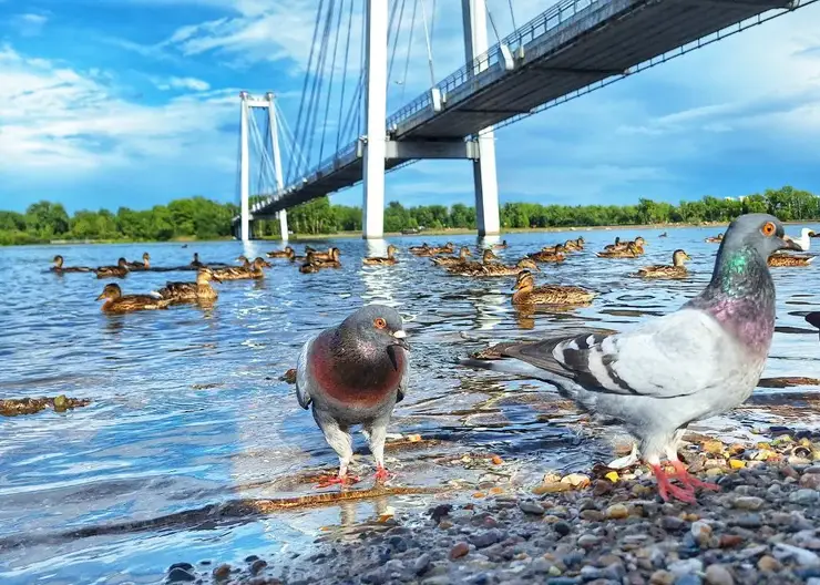 Красноярцам пообещали безоблачную субботу