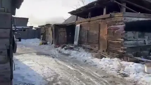 В Песчанке живодеры едят собак и кошек, волонтеры бьют тревогу (видео)